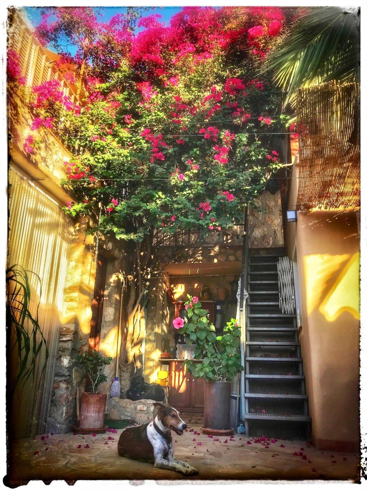 Dachterrassenzimmer In Romantischem Landhaus Mit Pool El Largo Bagian luar foto